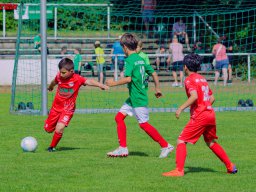 Hillen Cup 2024